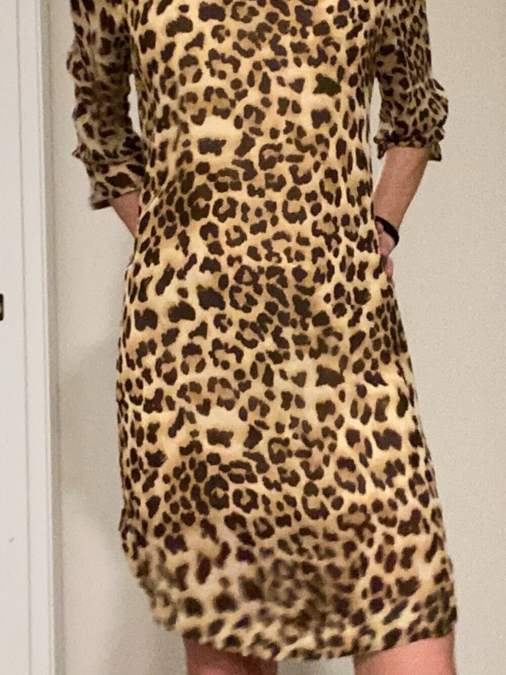 Charming Charlie Leopard Print Dress M 3/4 Sleeve Flowy Lined Mini Shift Dress
